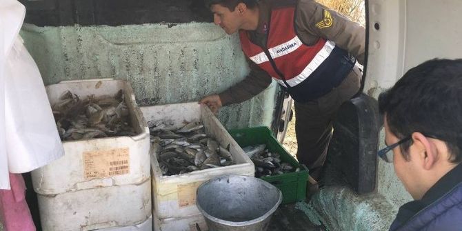 Söke’de İç Sularda Yasak Balık Avıyla Mücadele Sürüyor
