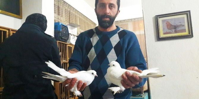 Bu Güvercinin Fiyatı Servet Değerinde