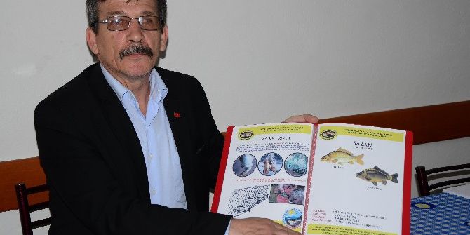 Esabder, Ölen Balıkların Yenmemesi İçin Uyardı