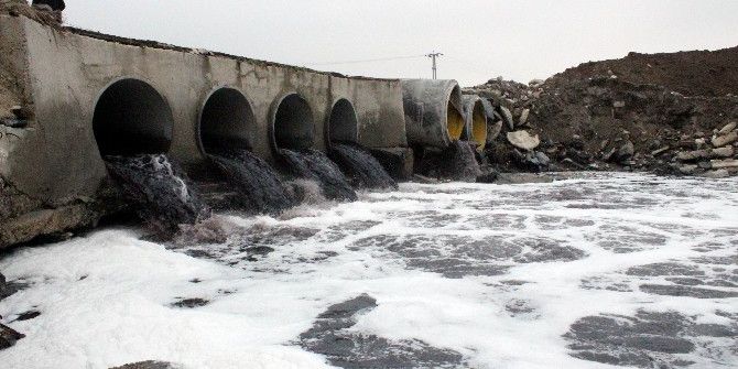 Ergene Zehirden Kurtulacak