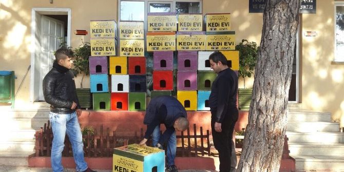 Gaziantep’te Ücretsiz Kedi Barınağı Dağıtılıyor