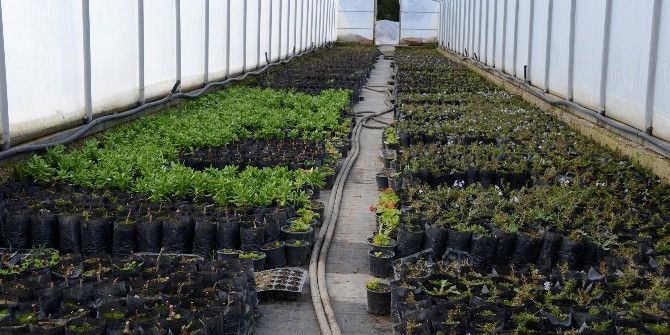 Meram’ın Bitki Üretim Merkezi Seralar