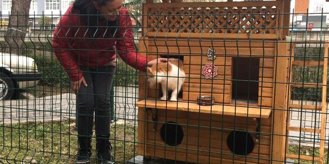 Kediler ’Ev’lendi