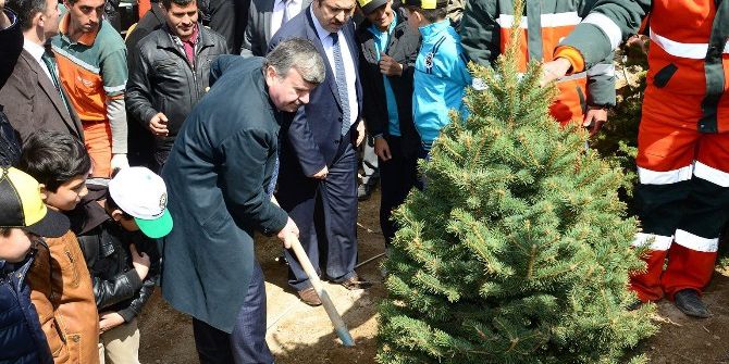 Konya’da 2016’da 9,6 Milyon Fidan Toprakla Buluştu