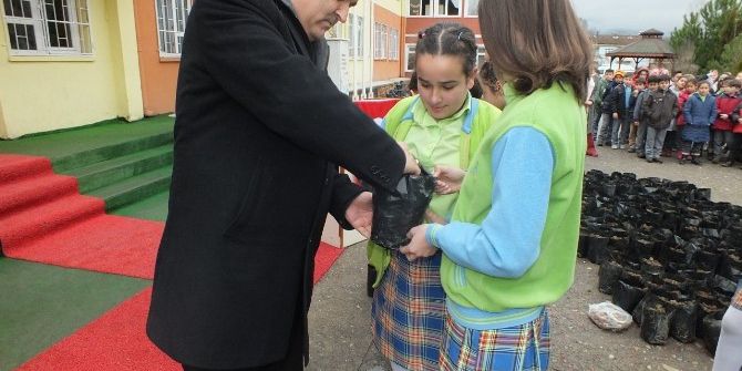 Öğrenciler Ceviz Tohumlarını Toprakla Buluşturdu
