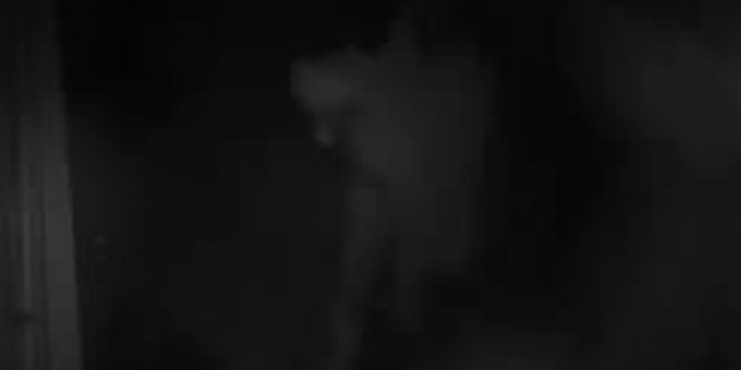 Çocuğunu Denize Atmaya Böyle Götürdü