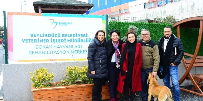 Girne Belediyesi, Beylikdüzü Modelini Örnek Almak İçin İlçeye Geldi