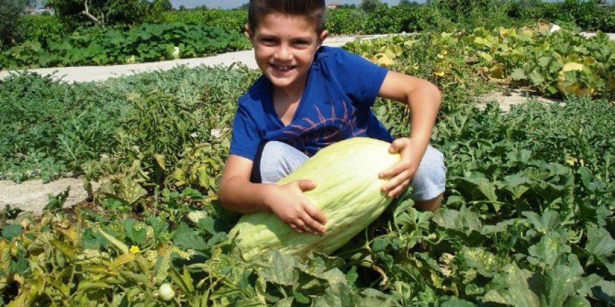 10 Kiloluk Acur Görenleri Şaşırttı