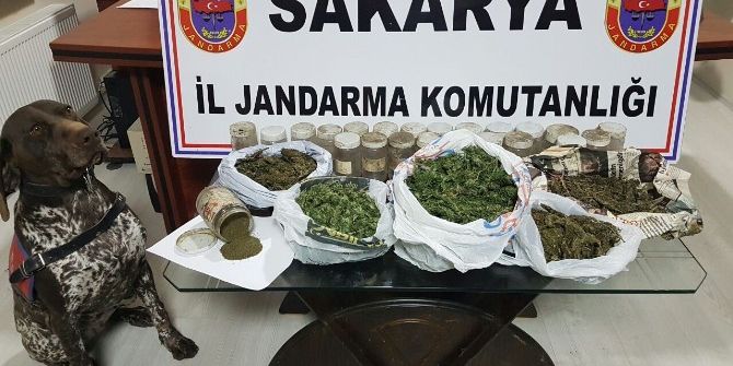 Jandarma Ekiplerinden Esrar Operasyonu