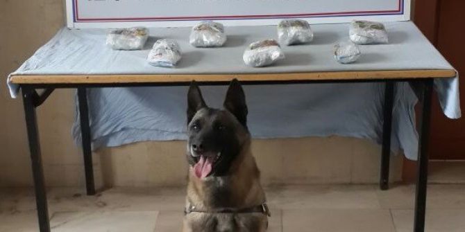 Narkotik Köpeği Trendeki Esrarı Buldu