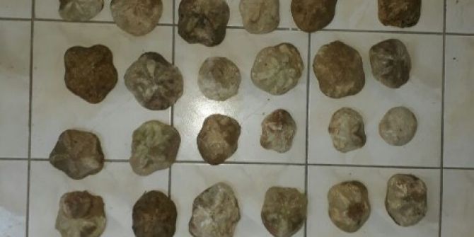 Evinin İçinde Define Aramak İçin 40 Metre Tünel Kazdı