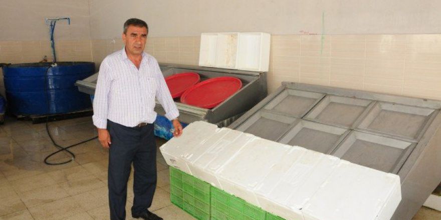 Balık Tezgahları Boş Kaldı