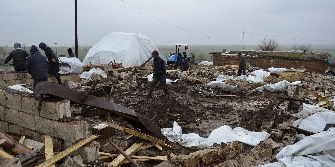 Barınağın Çökmesi Sonucu 40 Koyun Ve Kuzu Telef Oldu