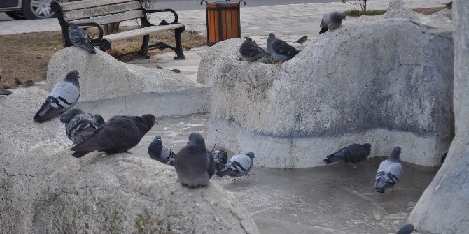 Kırklareli’nde Süs Havuzları Buz Tuttu
