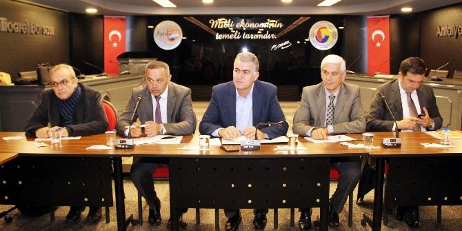 Kuraklık Zeytinde Rekolteyi Etkiledi