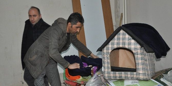 Uludere’de Sokak Hayvanları İçin Sosyal Medya Seferberliği