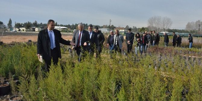 Mersin Orman Bölge Müdürlüğü Fidanlıkları, Belediyelere De Fidan Desteği Verecek