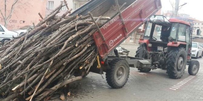 Budanan Ağaçlar İhtiyaç Sahiplerine Veriliyor