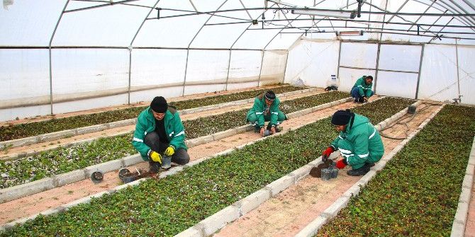 Elazığ Belediyesi Rengarenk Bir Şehir İçin Üretiyor