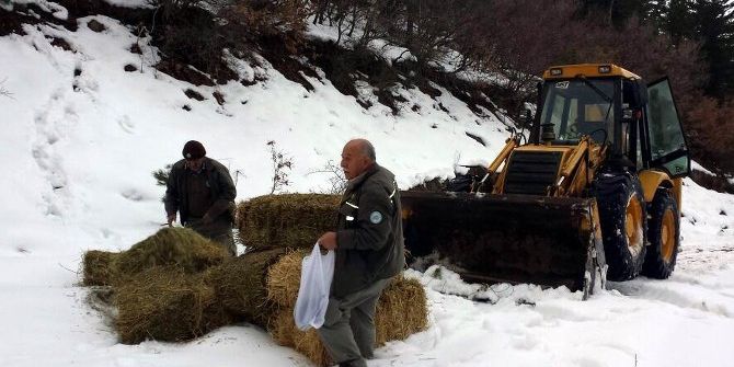 Yaban Hayvanlarına 32 Ton Yem Bırakıldı
