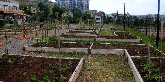 Kent Tarım Hobi Evi’nde Yeni Eğitimler Şubat’ta Başlıyor