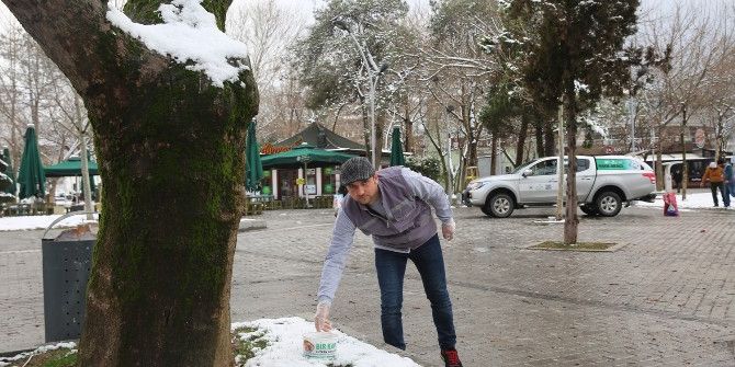 Sokak Hayvanlarına Yem Bırakıldı