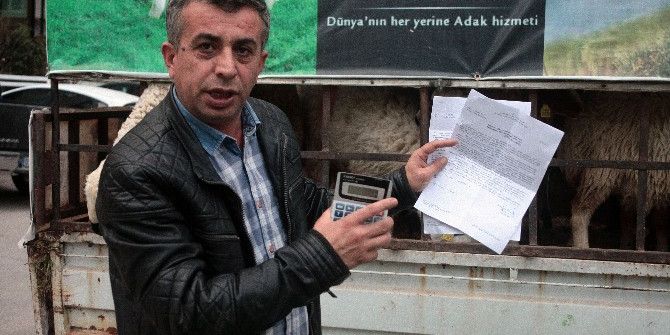 Mobil Kasaba Ceza Şoku