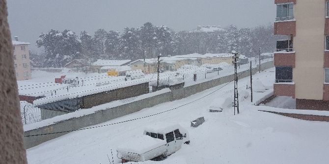 Tatvan’da Hayat Durma Noktasına Geldi