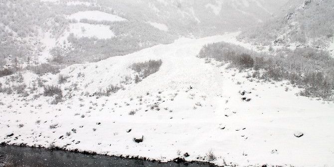 Beytüşşebap’ta Çığ Düştü