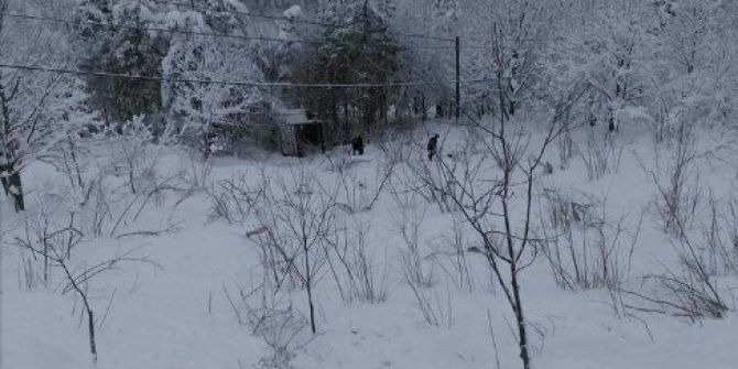 Sinop’ta Otobüs Kazası: 1 Yaralı