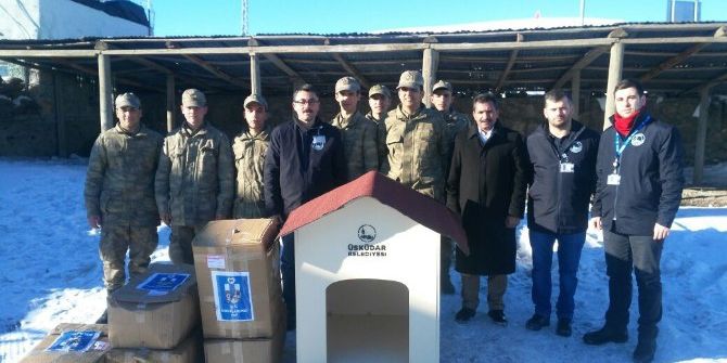 Üsküdar Belediyesi’nden Sınırdaki Köpeklere Sıcak Yuva