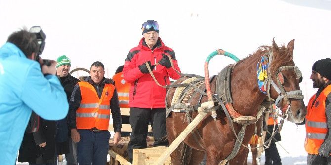 Uludağ’da Kızaklı At Yarışları Nefes Kesti, Snowboard Yarışları İlgiyle İzlendi