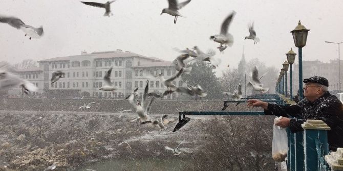 Karda Yaban Hayvanlarını Beslediler