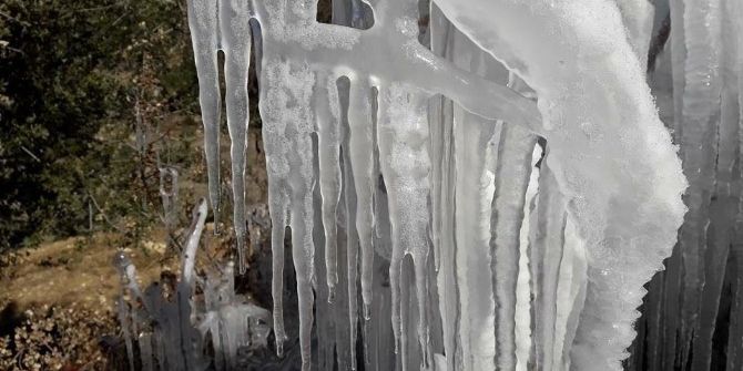 Milas’ta Bitkiler Buz Kütlesine Döndü