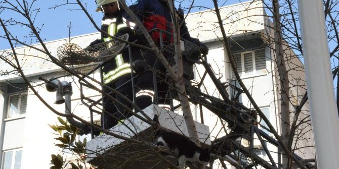 Manisa’da Kedi Kurtarma Operasyonu