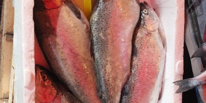 Kur Artışı Fiyatını İki Katına Çıkardı, İmdada Yerlisi Yetişti