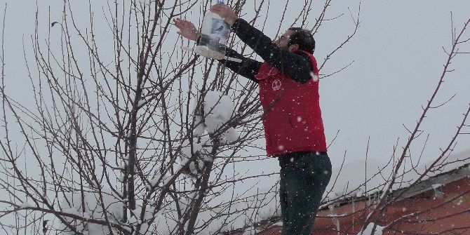 Gençlik Liderleri Sokak Hayvanlarına Yem Bıraktı