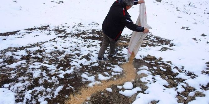 Yaban Hayvanları İçin Yemleme Yapıldı