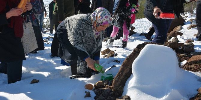 Kilis Belediyesinden Doğa Hayvanlarına Gıda Takviyesi