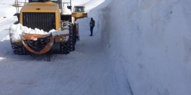 Van’da Yoğun Kar Yağışı
