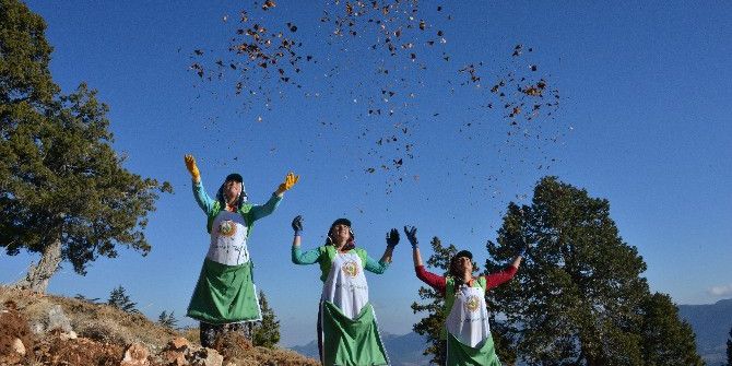 Mersin’de 790 Ton Sedir Tohumu Toprakla Buluştu