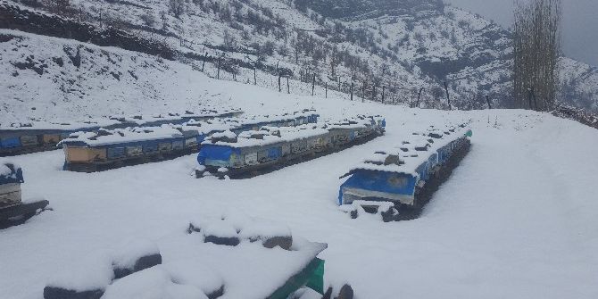 Soğuktan Donan Arılarını Avuçlarında Isıtıyorlar