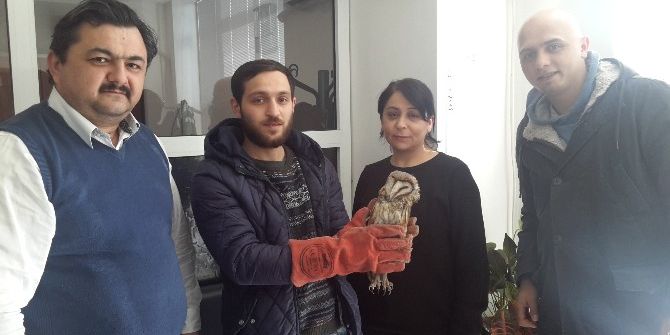 Yaralı Baykuşa Belediye Sahip Çıktı