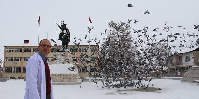 Güvercinleri Hayırsever Esnaf Doyuruyor