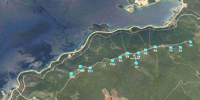 Milas-bodrum’a Res Geliyor