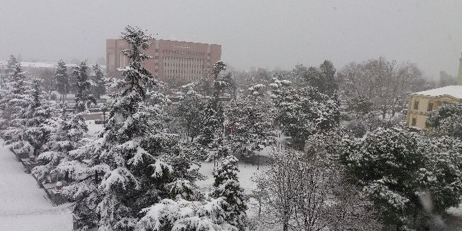 Karla Gelen Güzellik Ve Çile