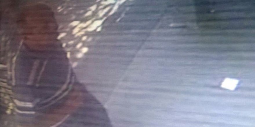 Gölbaşı’nda Atm Faresi Yakalandı