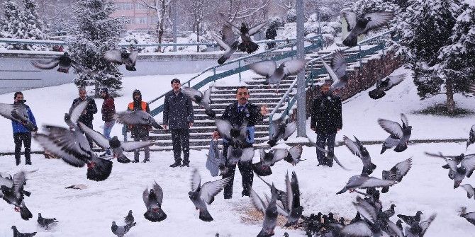 İlkadım Belediyesi Sokak Hayvanlarını Unutmadı