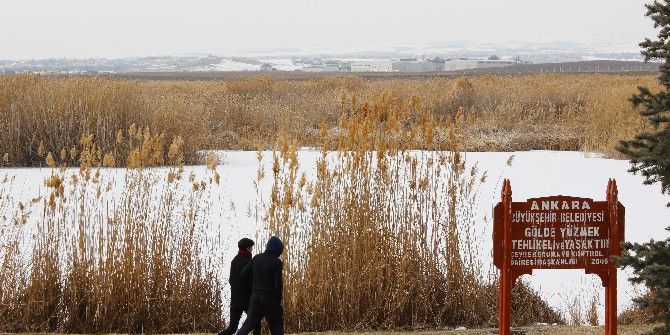 Başkentin Ayazı Sibirya’yı Aratmıyor