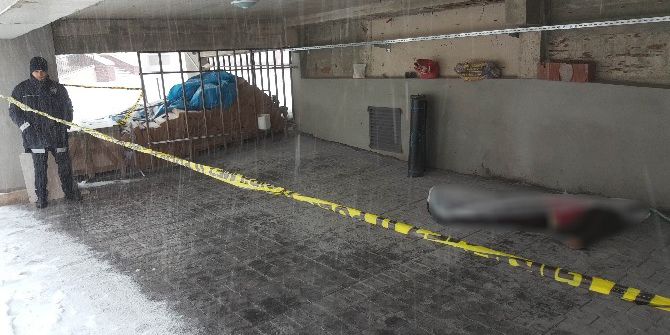 Eşya Taşımak İçin Antalya’dan Geldi, Samsun’da Ölü Bulundu